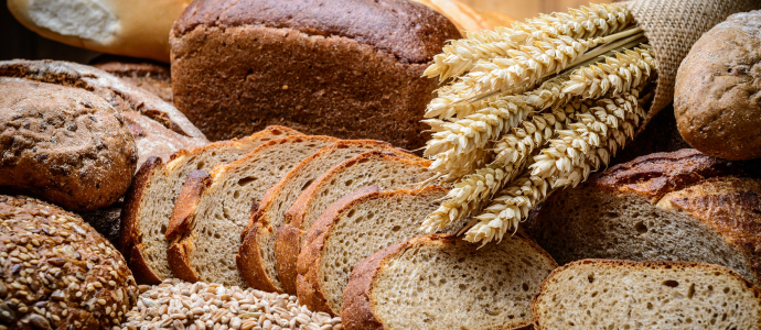 duerfen-hunde-brot-essen