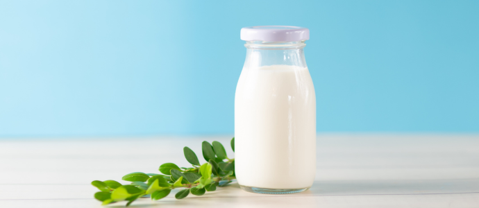 duerfen-hunde-milch-trinken