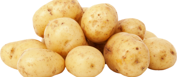 duerfen-hunde-kartoffeln-essen