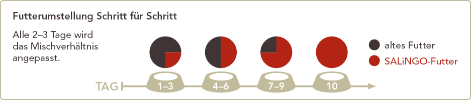 Eine Futterumstellung sollte immer schrittweise erfolgen