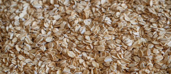 duerfen-hunde-haferflocken-essen