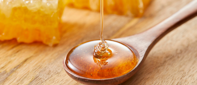 duerfen-katzen-honig-essen