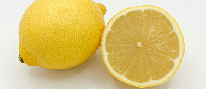 dürfen-hunde-zitrone-essen