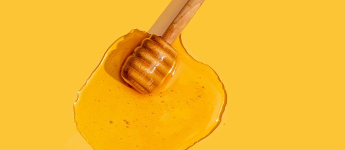 duerfen-hunde-honig-essen