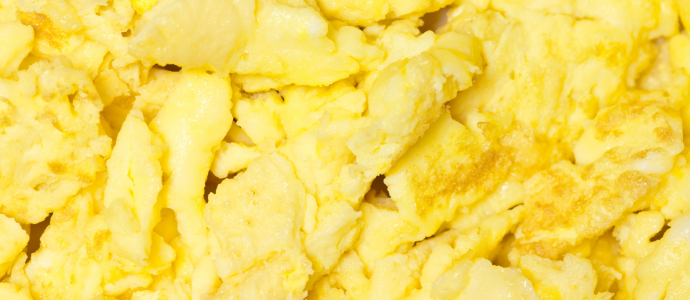 duerfen-hunde-ruehreier-essen