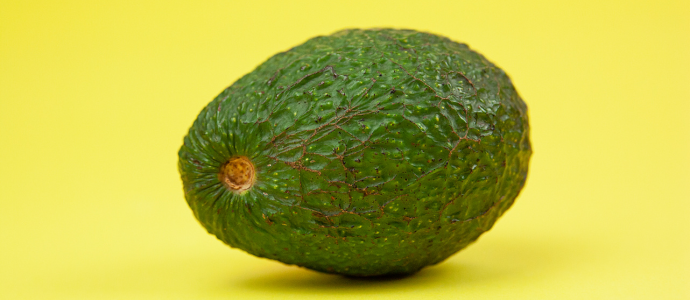 duerfen-hunde-avocado-essen