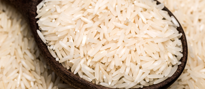 duerfen-hunde-reis-essen