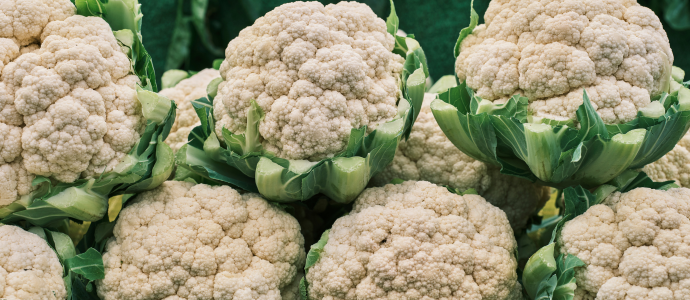 duerfen-hunde-blumenkohl-essen
