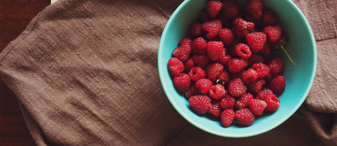 duerfen-hunde-himbeeren-essen duerfen-hunde-himbeeren-essen