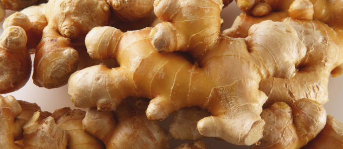 duerfen-hunde-ingwer-essen