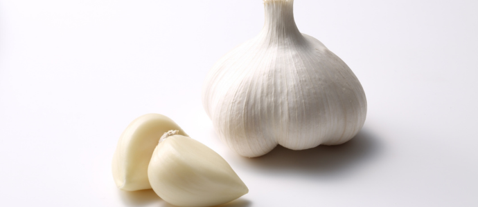 duerfen-hunde-knoblauch-essen