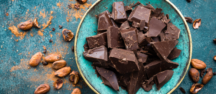 duerfen-katzen-schokolade-essen