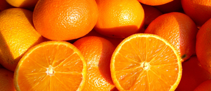 duerfen-hunde-orangen-essen