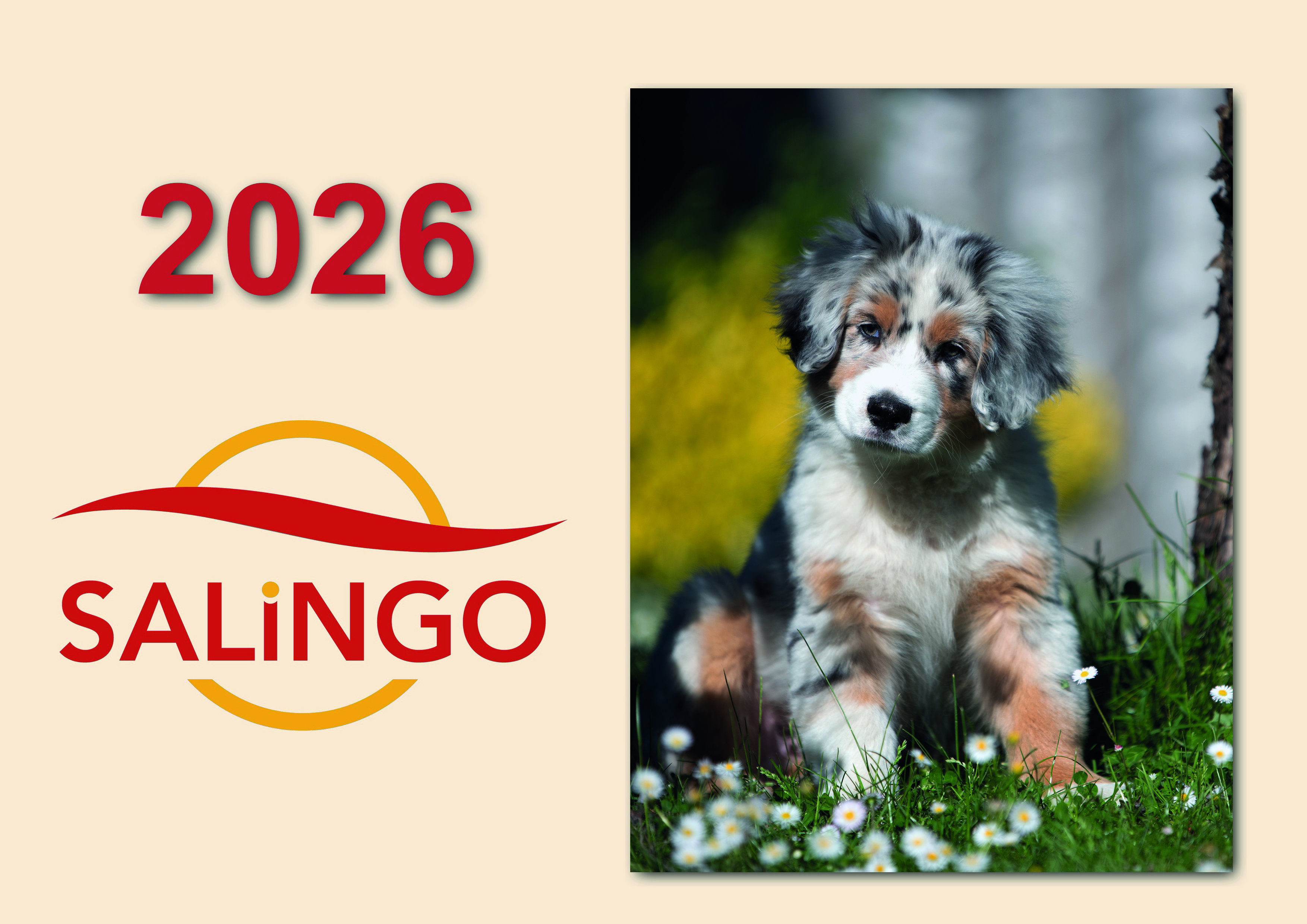 SALiNGO Kalender 2026