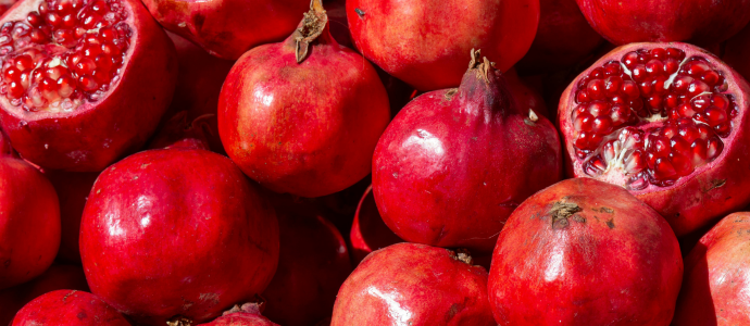 duerfen-hunde-granatapfel-essen