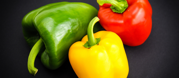 duerfen-hunde-paprika-essen