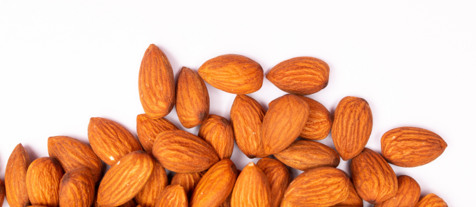 duerfen-hunde-mandeln-essen